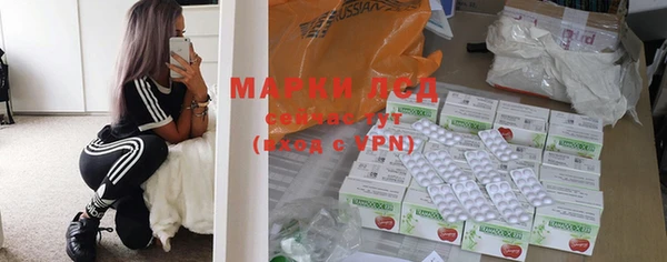 прущие грибы Белоозёрский