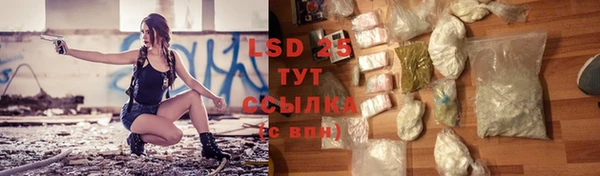 прущие грибы Белоозёрский