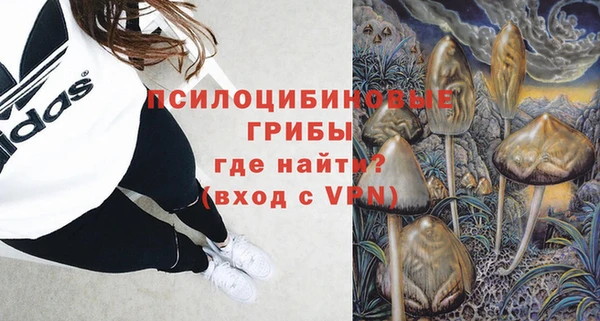 прущие грибы Белоозёрский