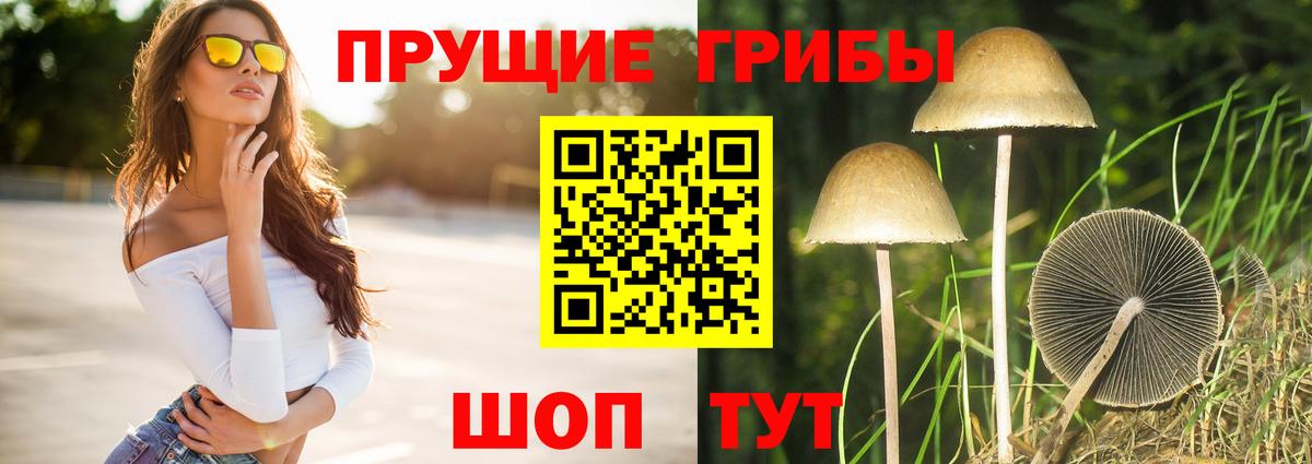 Псилоцибиновые грибы мицелий  Вход с VPN  Галлюциногенные грибы Psilocybine cubensis  Вязники 